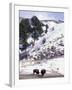 Buffalo in Winter Snow, Yellowstone National Park, Wyoming, USA-Paul Souders-Framed Photographic Print