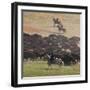 Buffalo Kick up Dust as Horseback Riders Keep Them Moving at the Custer State Park Buffalo Roundup-null-Framed Photographic Print