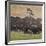 Buffalo Kick up Dust as Horseback Riders Keep Them Moving at the Custer State Park Buffalo Roundup-null-Framed Photographic Print