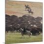 Buffalo Kick up Dust as Horseback Riders Keep Them Moving at the Custer State Park Buffalo Roundup-null-Mounted Photographic Print