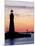 Buffalo Lighthouse, Buffalo Port, New York State, United States of America, North America-Richard Cummins-Mounted Photographic Print