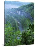 Buffalo National River, Arkansas, USA-Charles Gurche-Stretched Canvas