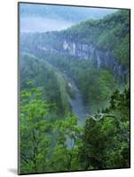 Buffalo National River, Arkansas, USA-Charles Gurche-Mounted Photographic Print