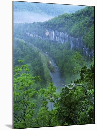 Buffalo National River, Arkansas, USA-Charles Gurche-Mounted Photographic Print