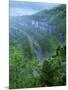 Buffalo National River, Arkansas, USA-Charles Gurche-Mounted Photographic Print