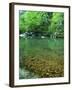 Buffalo National River, Arkansas, USA-Charles Gurche-Framed Premium Photographic Print