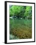 Buffalo National River, Arkansas, USA-Charles Gurche-Framed Premium Photographic Print