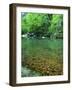 Buffalo National River, Arkansas, USA-Charles Gurche-Framed Photographic Print