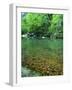 Buffalo National River, Arkansas, USA-Charles Gurche-Framed Photographic Print