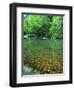 Buffalo National River, Arkansas, USA-Charles Gurche-Framed Photographic Print