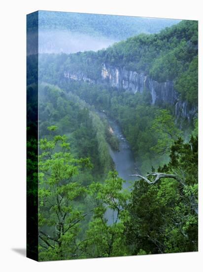 Buffalo National River, Arkansas, USA-Charles Gurche-Stretched Canvas