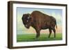 Buffalo, New York, Greetings From with a Buffalo-Lantern Press-Framed Art Print