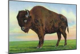 Buffalo, New York, Greetings From with a Buffalo-Lantern Press-Mounted Art Print