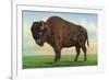 Buffalo, New York, Greetings From with a Buffalo-Lantern Press-Framed Premium Giclee Print