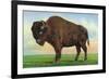 Buffalo, New York, Greetings From with a Buffalo-Lantern Press-Framed Premium Giclee Print