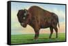 Buffalo, New York, Greetings From with a Buffalo-Lantern Press-Framed Stretched Canvas