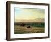 Buffalo on the Plains, C.1890-Albert Bierstadt-Framed Premium Giclee Print