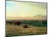 Buffalo on the Plains, C.1890-Albert Bierstadt-Mounted Premium Giclee Print