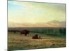 Buffalo on the Plains, C.1890-Albert Bierstadt-Mounted Giclee Print