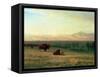 Buffalo on the Plains, C.1890-Albert Bierstadt-Framed Stretched Canvas