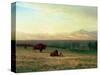 Buffalo on the Plains, C.1890-Albert Bierstadt-Stretched Canvas