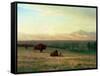 Buffalo on the Plains, C.1890-Albert Bierstadt-Framed Stretched Canvas