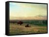 Buffalo on the Plains, C.1890-Albert Bierstadt-Framed Stretched Canvas