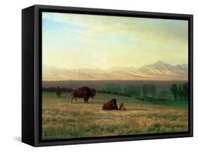 Buffalo on the Plains, C.1890-Albert Bierstadt-Framed Stretched Canvas