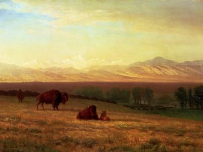 https://imgc.allpostersimages.com/img/posters/buffalo-on-the-plains-circa-1890_u-L-Q1HNK830.jpg?artPerspective=n