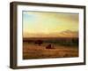 Buffalo on the Plains, Circa 1890-Sir William Beechey-Framed Giclee Print