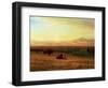 Buffalo on the Plains, Circa 1890-Sir William Beechey-Framed Giclee Print