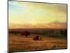 Buffalo on the Plains, Circa 1890-Sir William Beechey-Mounted Giclee Print