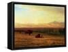 Buffalo on the Plains, Circa 1890-Sir William Beechey-Framed Stretched Canvas