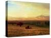 Buffalo on the Plains, Circa 1890-Sir William Beechey-Stretched Canvas