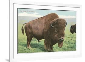 Buffalo on the Range-null-Framed Premium Giclee Print