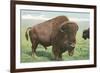 Buffalo on the Range-null-Framed Premium Giclee Print