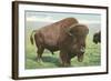 Buffalo on the Range-null-Framed Art Print