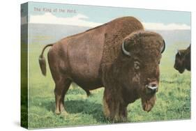 Buffalo on the Range-null-Stretched Canvas