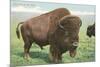 Buffalo on the Range-null-Mounted Art Print