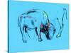 Buffalo Painting-Boyan Dimitrov-Stretched Canvas