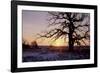 Buffalo River 09-Gordon Semmens-Framed Photographic Print