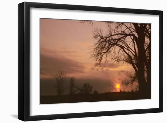 Buffalo River 10-Gordon Semmens-Framed Photographic Print