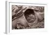 Buffalo River 11-Gordon Semmens-Framed Photographic Print