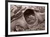 Buffalo River 11-Gordon Semmens-Framed Photographic Print