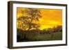 Buffalo River 15-Gordon Semmens-Framed Photographic Print