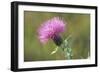 Buffalo River 37-Gordon Semmens-Framed Photographic Print