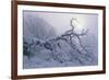 Buffalo River 39-Gordon Semmens-Framed Photographic Print