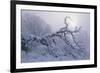 Buffalo River 39-Gordon Semmens-Framed Photographic Print