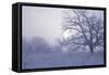 Buffalo River 40-Gordon Semmens-Framed Stretched Canvas