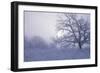 Buffalo River 40-Gordon Semmens-Framed Photographic Print